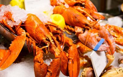 Why Saltwater has the Finest Lobster in Gaslamp San Diego