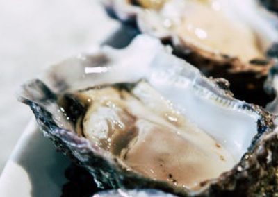 oyster closeup